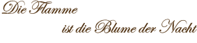 Die Flamme                   ist die Blume der Nacht